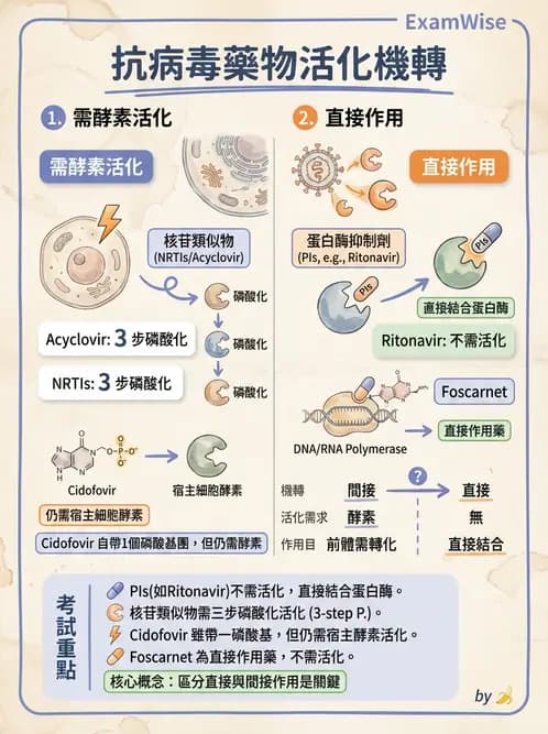 醫檢師 - 抗病毒藥物與疫苗通論 - AI 圖文解析預覽