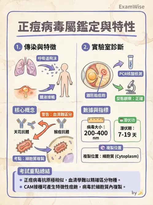 醫檢師 - 腺病毒與痘病毒 - AI 圖文解析預覽