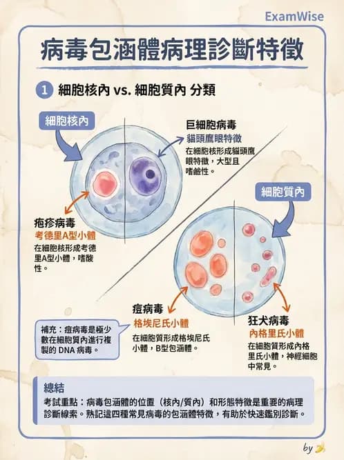 醫檢師 - 腺病毒與痘病毒 - AI 圖文解析預覽