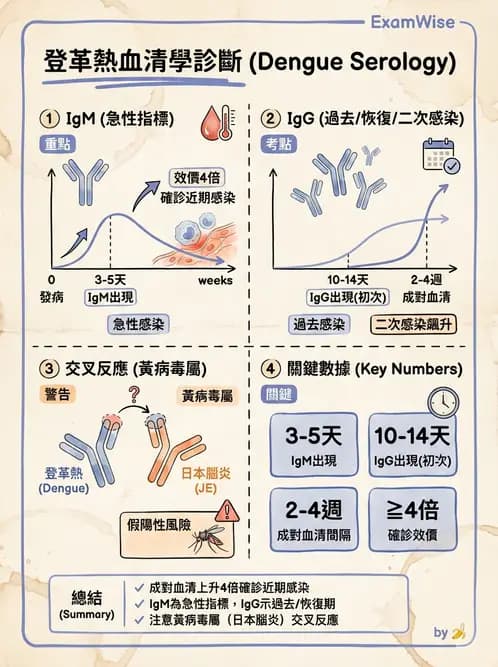 醫檢師 - 黃病毒科與蟲媒病毒 - AI 圖文解析預覽
