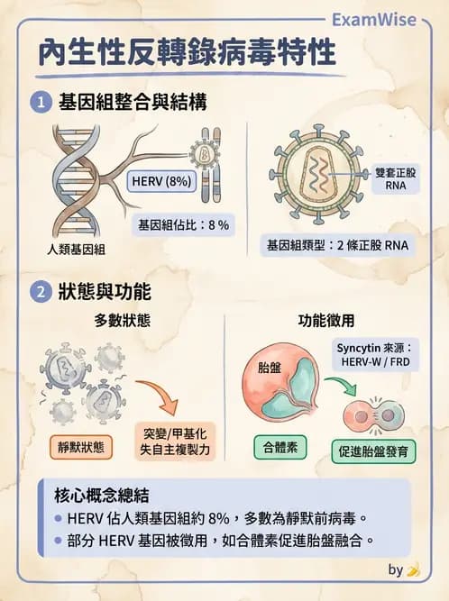 醫檢師 - 反轉錄病毒(HIV/HTLV) - AI 圖文解析預覽