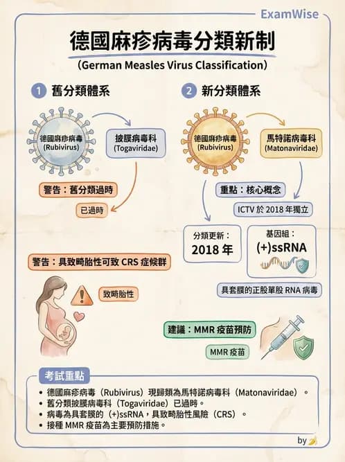 醫檢師 - 其他RNA病毒 - AI 圖文解析預覽