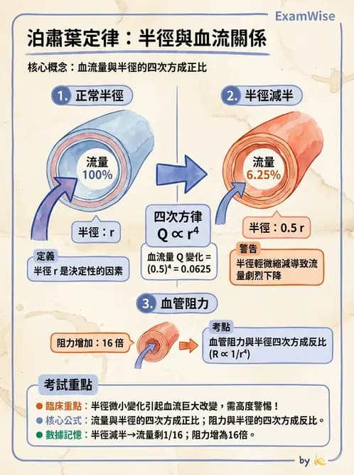 放射 - 心血管生理 - AI 圖文解析預覽