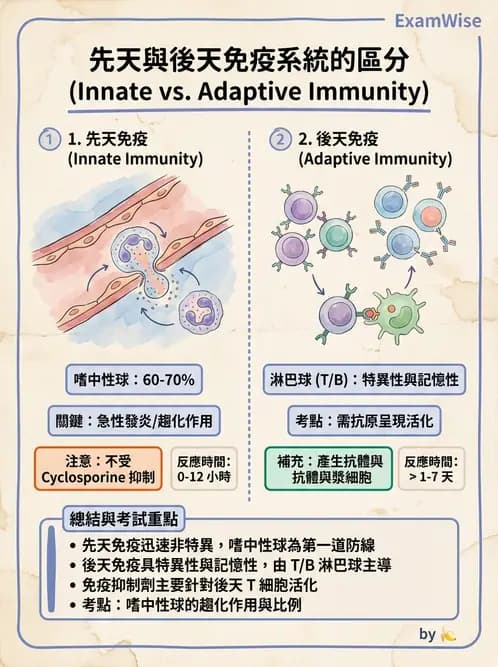 放射 - 血液及免疫生理 - AI 圖文解析預覽