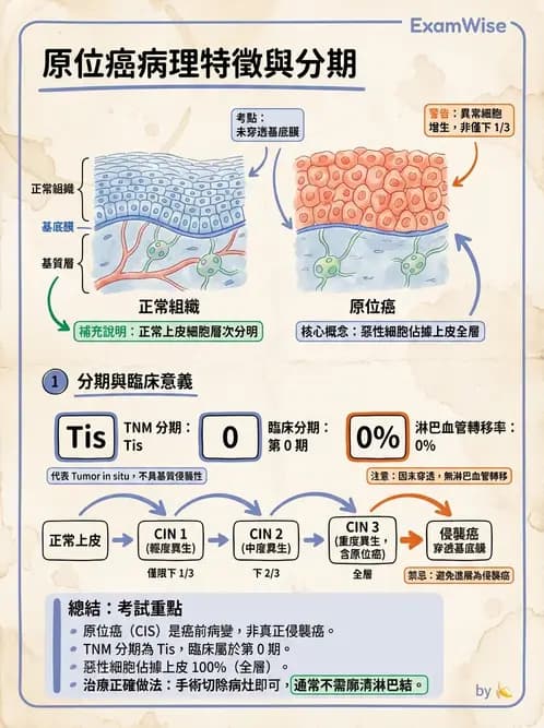 放射 - 惡性腫瘤 - AI 圖文解析預覽