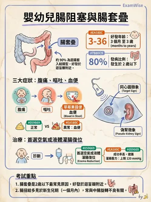 放射 - 口腔及腸胃道疾病 - AI 圖文解析預覽