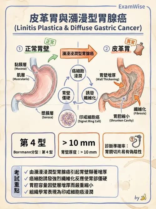 放射 - 口腔及腸胃道疾病 - AI 圖文解析預覽