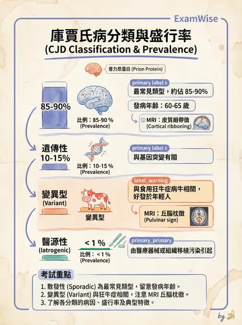 放射 - 神經系統疾病 - AI 圖文解析預覽