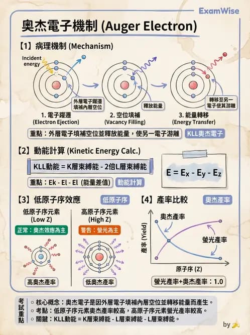 放射 - 光子作用機制 - AI 圖文解析預覽