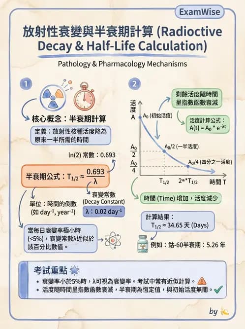放射 - 放射性活度與衰變計算 - AI 圖文解析預覽
