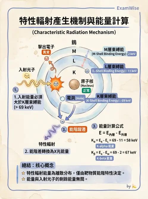 放射 - 光子作用機制 - AI 圖文解析預覽