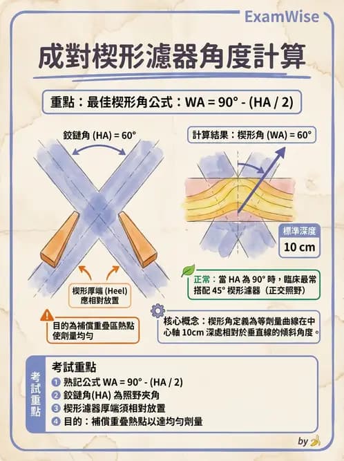 放射 - 治療計劃 - AI 圖文解析預覽