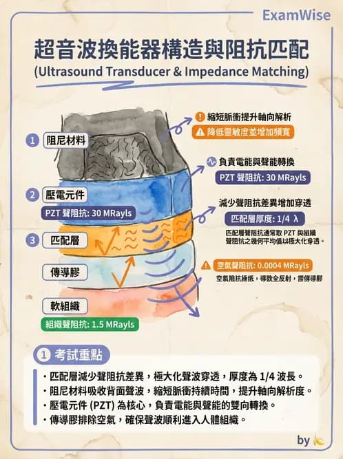 放射 - 超音波物理與換能器 - AI 圖文解析預覽