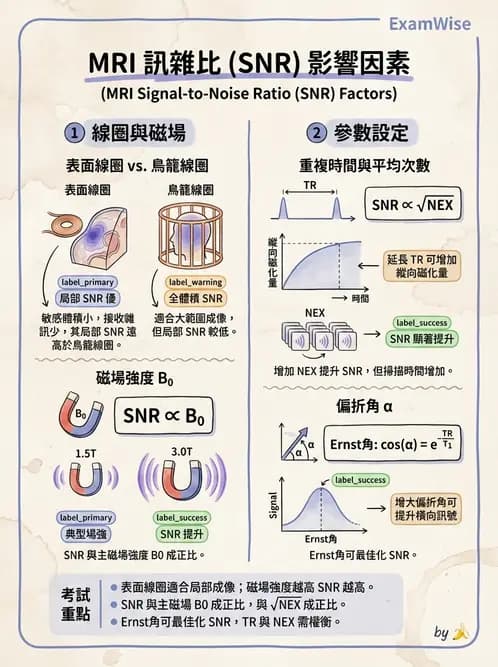 放射 - 空間編碼與影像品質 - AI 圖文解析預覽
