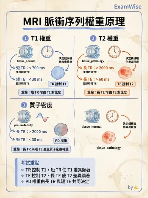 放射 - 脈衝序列與影像對比 - AI 圖文解析預覽