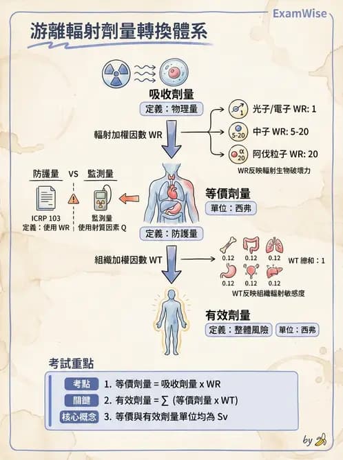 放射 - 輻射防護劑量量 - AI 圖文解析預覽