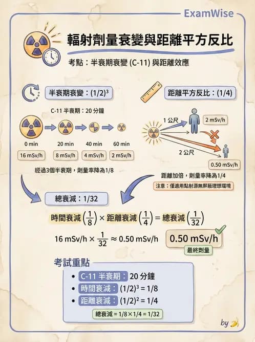 放射 - 體外劑量 - AI 圖文解析預覽