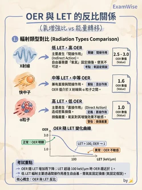 放射 - 輻射物理生物基礎 - AI 圖文解析預覽