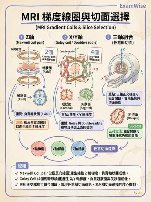 放射 - 梯度線圈與空間編碼 - AI 圖文解析預覽
