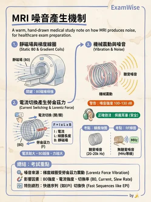 放射 - 梯度線圈與空間編碼 - AI 圖文解析預覽