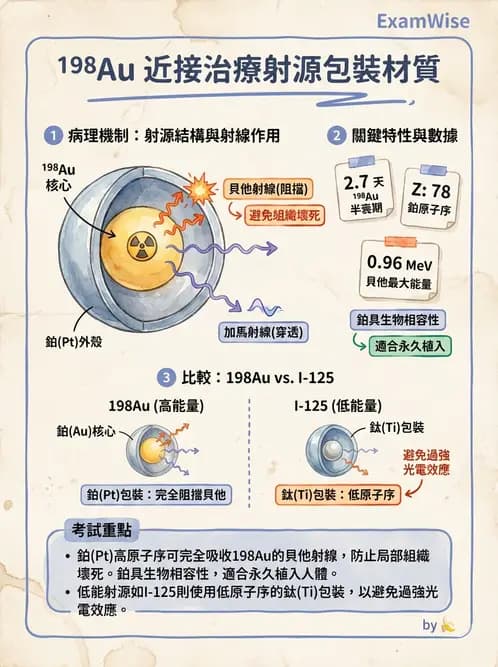 放射 - 近接治療機 - AI 圖文解析預覽