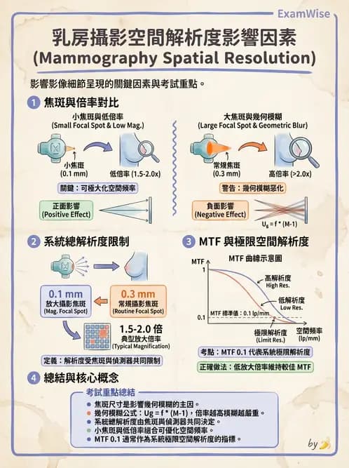 放射 - 乳房攝影裝置與影像品質 - AI 圖文解析預覽