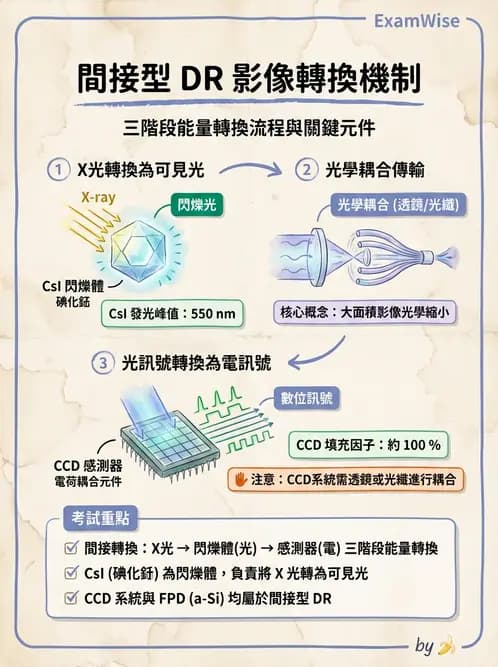 放射 - 數位放射攝影(DR)偵測器與影像品質 - AI 圖文解析預覽