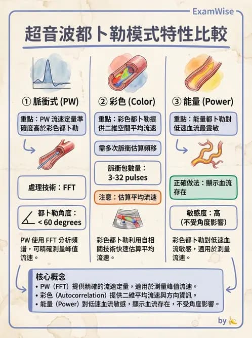 放射 - 都普勒超音波 - AI 圖文解析預覽