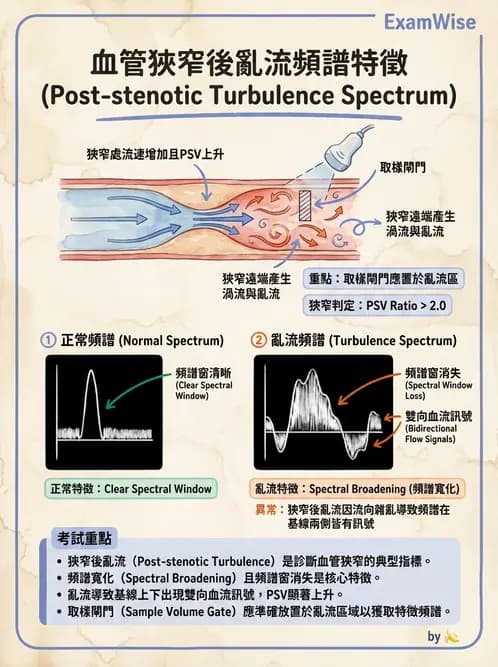 放射 - 都普勒超音波 - AI 圖文解析預覽