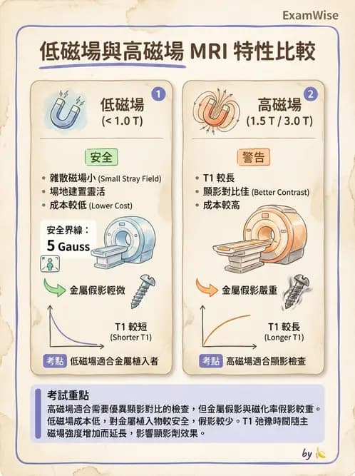 放射 - 主磁場、磁鐵類型與勻場 - AI 圖文解析預覽