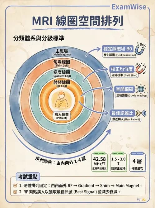 放射 - 射頻系統與線圈 - AI 圖文解析預覽