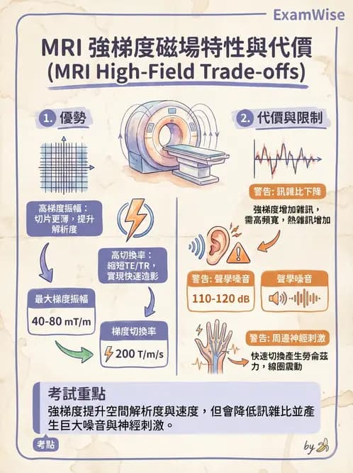 放射 - 梯度線圈與空間編碼 - AI 圖文解析預覽