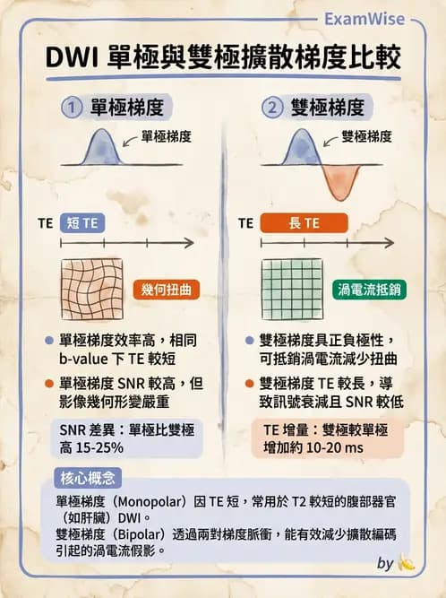放射 - 梯度線圈與空間編碼 - AI 圖文解析預覽