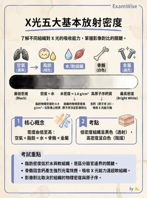 放射 - X光交互作用與影像品質 - AI 圖文解析預覽