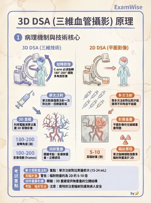 放射 - 血管攝影原理與解剖 - AI 圖文解析預覽