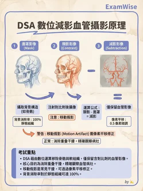 放射 - 血管攝影原理與解剖 - AI 圖文解析預覽