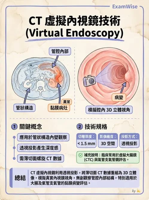放射 - CTA與CT影像技術應用 - AI 圖文解析預覽