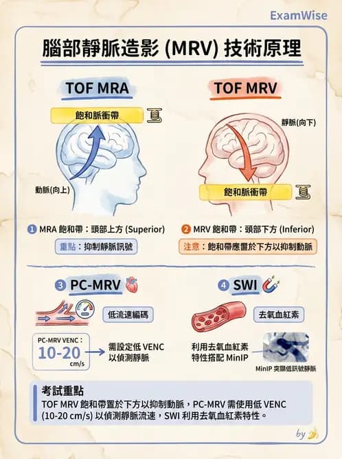 放射 - MR進階影像與臨床應用 - AI 圖文解析預覽