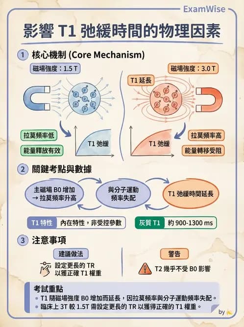 放射 - 磁振造影原理 - AI 圖文解析預覽