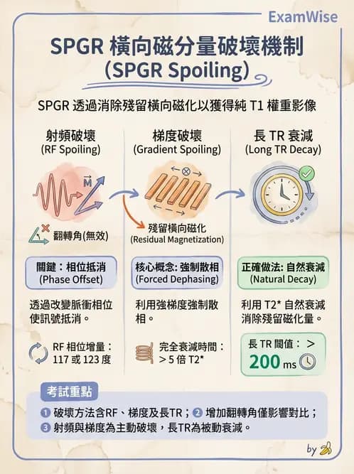 放射 - MRI脈衝序列與訊號技術 - AI 圖文解析預覽
