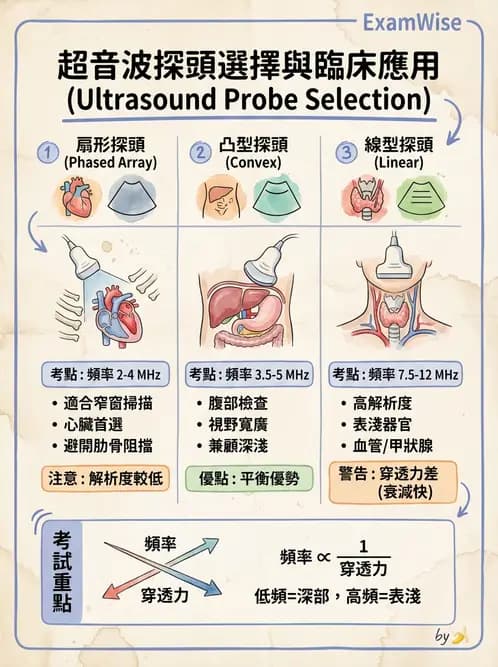 放射 - 腎臟血管與其他超音波 - AI 圖文解析預覽