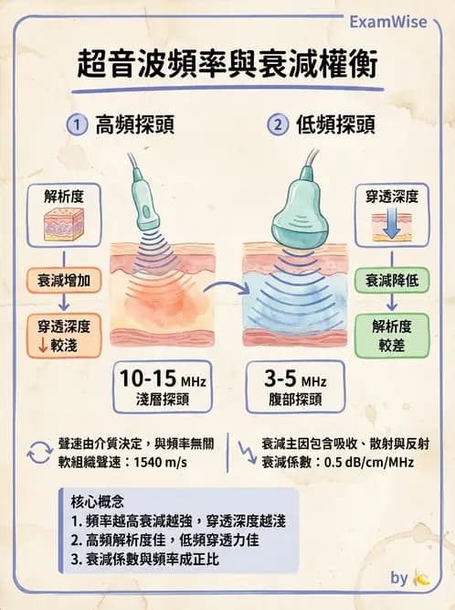 放射 - 超音波物理與技術 - AI 圖文解析預覽