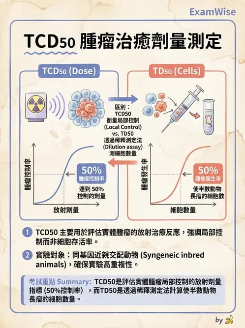 放射 - 腫瘤反應預測 - AI 圖文解析預覽