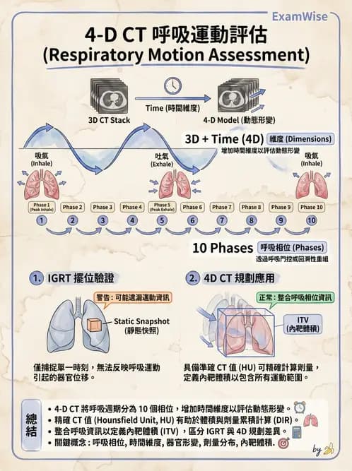 放射 - 多模影像模擬攝影與呼吸運動管理 - AI 圖文解析預覽