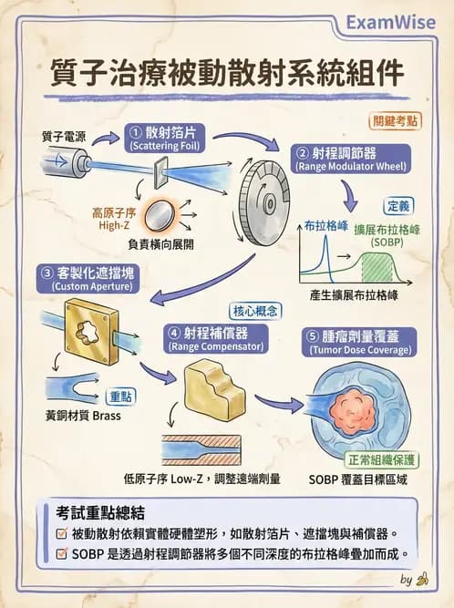 放射 - 質子與粒子治療 - AI 圖文解析預覽
