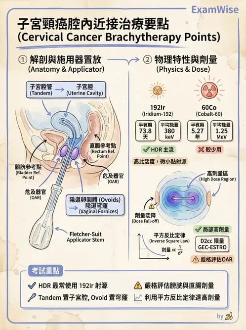 放射 - 腔內近接治療 - AI 圖文解析預覽