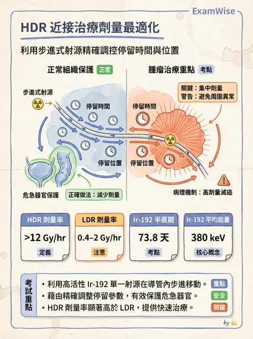 放射 - 腔內近接治療 - AI 圖文解析預覽