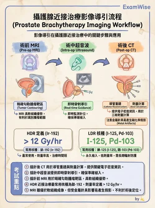 放射 - 插種近接治療 - AI 圖文解析預覽