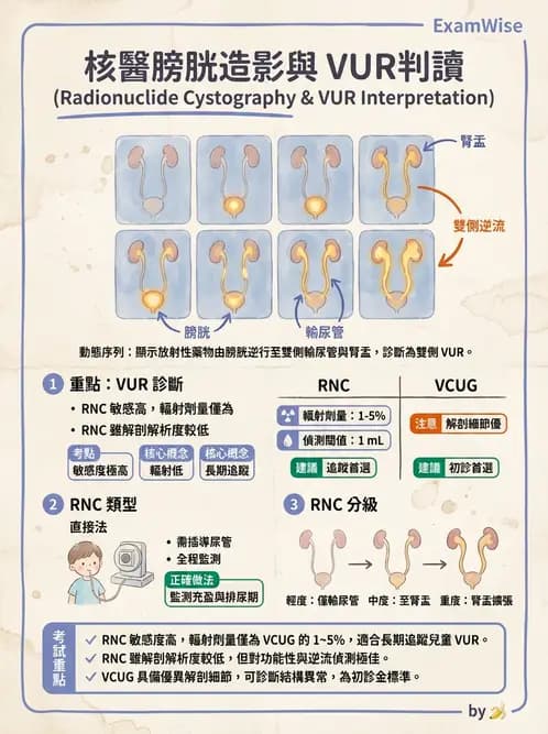 放射 - 腎臟造影 - AI 圖文解析預覽