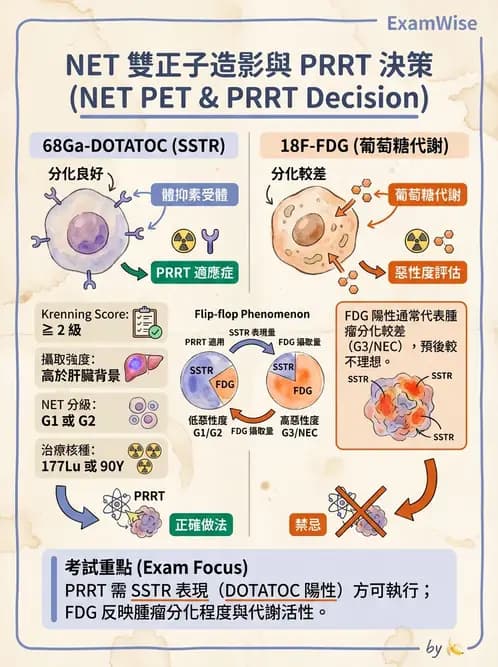 放射 - 標靶受體腫瘤造影 - AI 圖文解析預覽